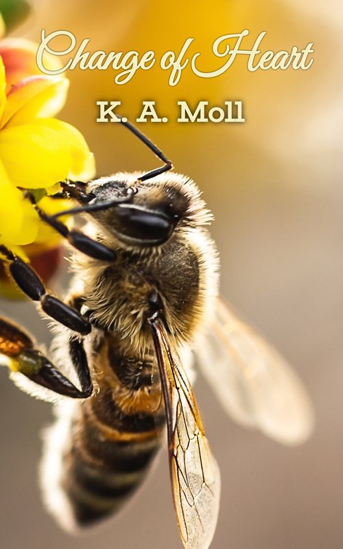 Change of Heart book cover