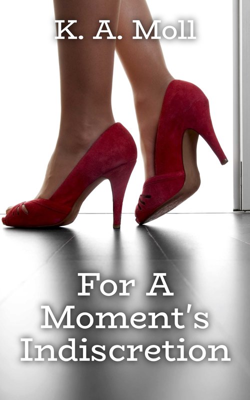For A Moment's Indiscretion book cover